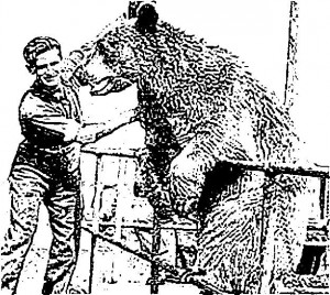 bear_and_soldier