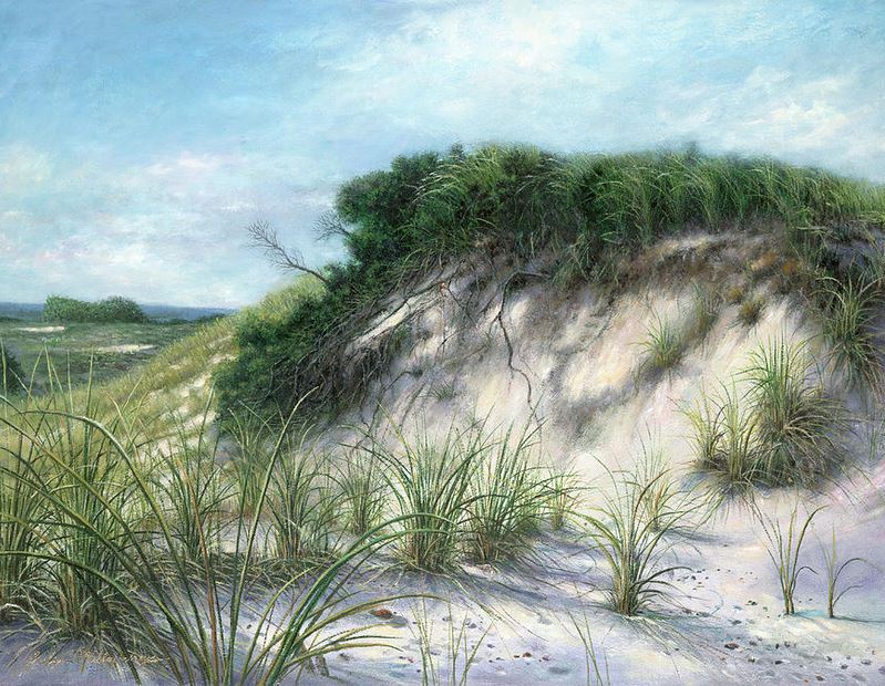 sand dunes kissing picnic
